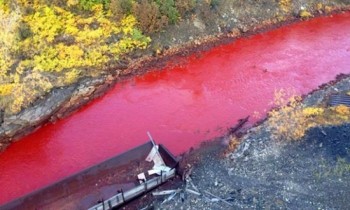 Vì sao dòng sông ở Nga chuyển màu đỏ tươi như máu?