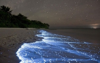 Kỳ diệu bãi biển phát sáng ở Maldives