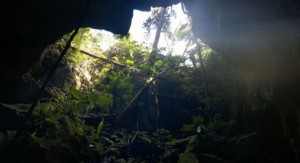 Phát hiện hang động mới ở Vườn quốc gia Phong Nha - Kẻ Bàng