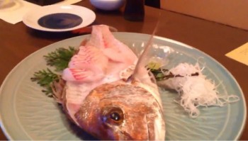 [VIDEO] Rùng mình cá lóc thịt trơ xương nhảy khỏi đĩa thức ăn