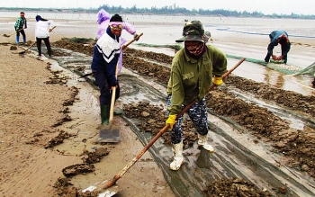 Tiềm năng và rủi ro