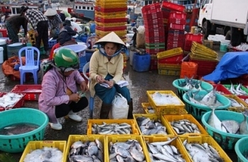 Động lực để phát triển nghề cá miền Trung