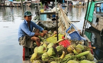 Chợ nổi giữa Sài Gòn