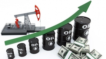 Giá dầu thế giới 22/11 phục hồi nhẹ sau thông dự trữ xăng của Mỹ giảm mạnh