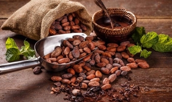 Giá cacao sụt giảm mạnh trong phiên 6/10