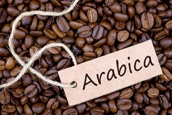 Giá cà phê Arabica có thể sẽ điều chỉnh sau khi đã tăng đến gần 10% từ đầu tuần