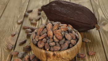 Thị trường nông sản thế giới: Giá cacao tăng mạnh do lo ngại thiếu hụt nguồn cung trước lễ Giáng sinh