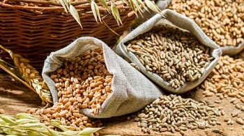Giá lúa mỳ tiếp tục nối dài chuỗi đà tăng từ cuối tháng