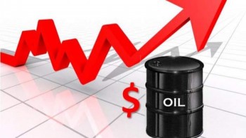 Dự báo giá dầu 2016