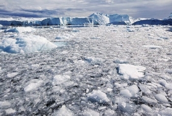 Xuất hiện 1.000 tảng băng trôi trên biển năm 2017