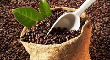 Giá cà phê, cao su trên thế giới tăng mạnh trong khi giá cacao giảm
