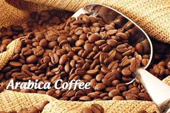 Giá cà phê Arabica có thể tiếp tục hướng lên mức 130 cents  trong tuần này
