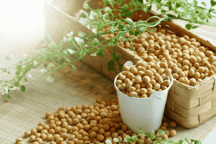 Nhóm sản phẩm đậu tương trên thế giới vẫn còn dư địa tăng trong tuần này