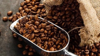 Xuất khẩu cà phê của Việt Nam năm 2020 ước tính giảm 8,8% xuống mức 1.51 triệu tấn