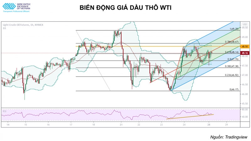 Thị trường dầu thô 11 tháng qua không theo bất cứ quy luật nào