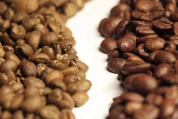 Giá nguyên liệu công nghiệp ngày 23/12: Giá hai loại cà phê trái chiều?