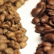 Giá nguyên liệu công nghiệp ngày 23/12: Giá hai loại cà phê trái chiều?