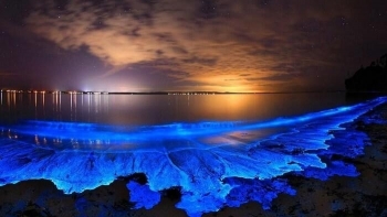 Ngỡ ngàng trước bãi biển phát sáng kỳ ảo ở Maldives