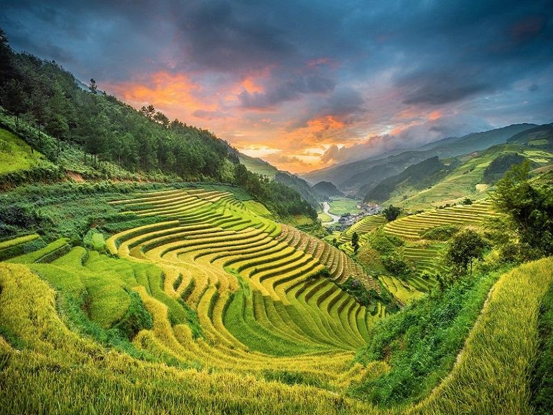 Việt Nam sở hữu 2 ruộng bậc thang đẹp nhất thế giới