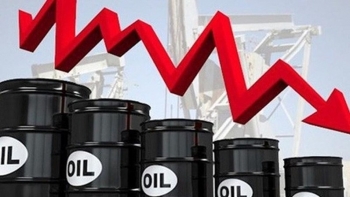 Giá xăng dầu hôm nay 8/8: Dầu Brent tuột mốc 45 USD/thùng