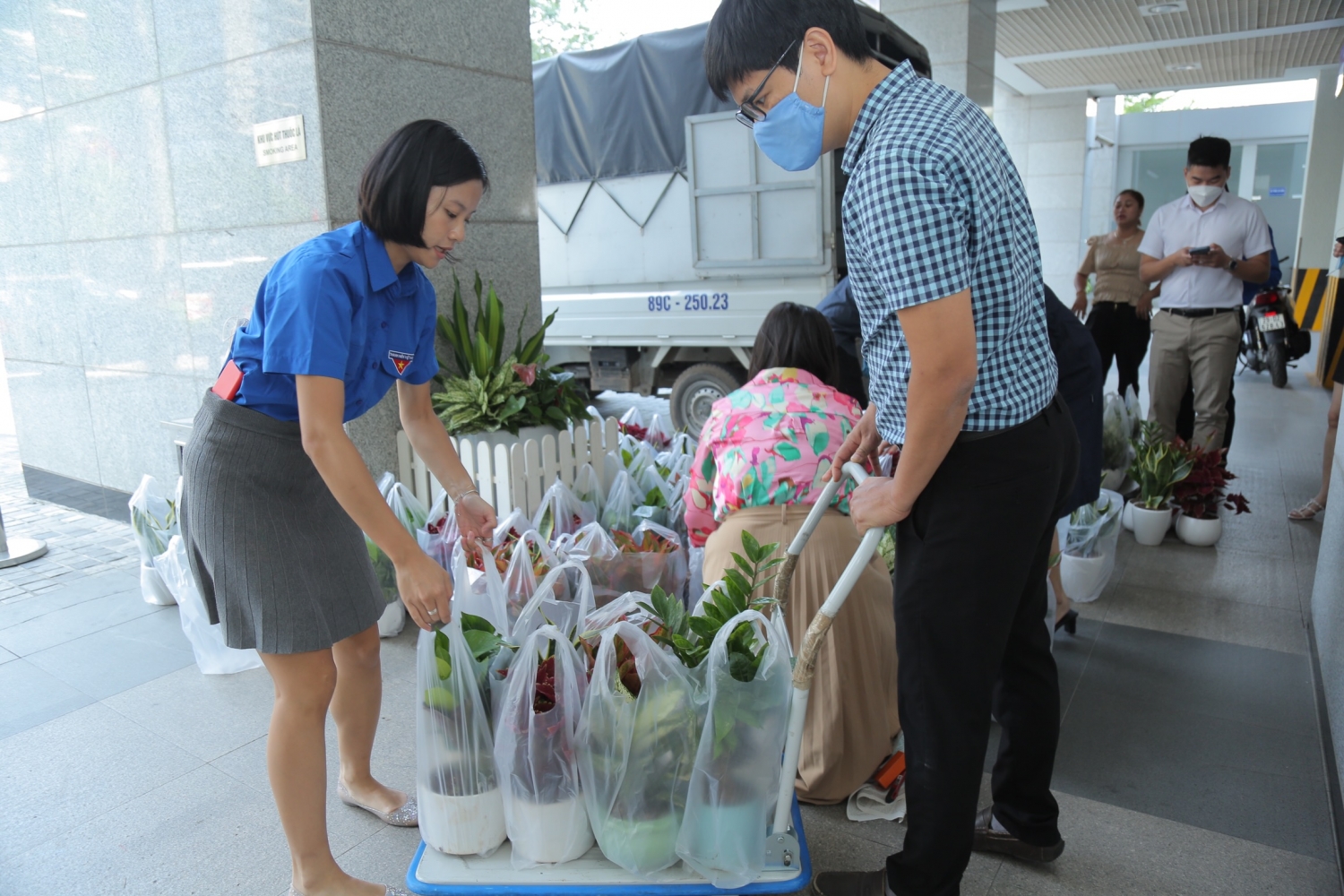 Đoàn Thanh niên Cơ quan Tập đoàn Dầu khí Việt Nam hưởng ứng chương trình 3 triệu cây xanh