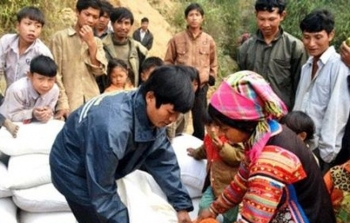 Hỗ trợ gần 10.000 tấn gạo cho đồng bào dân tộc thiểu số chăm sóc, bảo vệ rừng