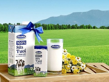 Vinamilk thông tin về nguồn nguyên liệu sản xuất các sản phẩm sữa