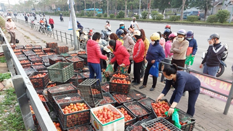 Thành ủy Hà Nội chỉ đạo rà soát, để hỗ trợ tiêu thụ hàng hóa cho nhân dân vùng có dịch