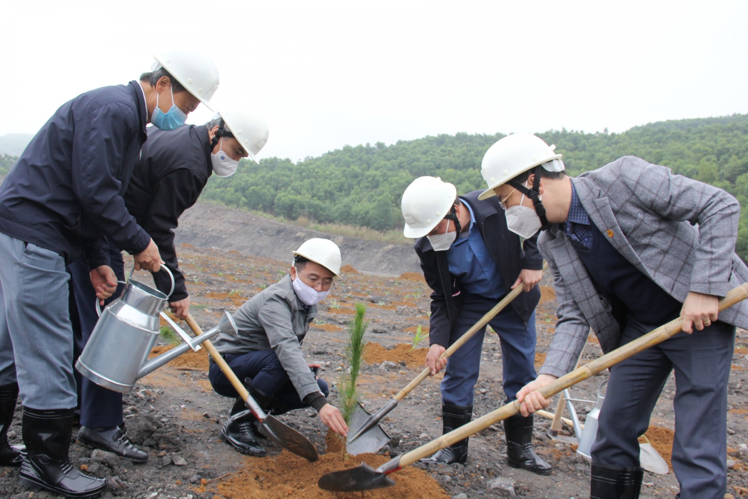 Năm 2021, TKV phủ xanh 160 ha môi trường khai thác mỏ