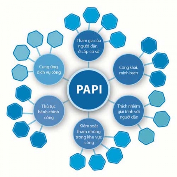 Báo cáo PAPI 2020: Quan ngại về y tế, bảo hiểm y tế và tăng trưởng kinh tế tăng