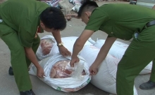 quang nam bat giu mot xe tai cho lon nhiem dich ta tren duong di tieu thu