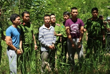 Lâm Đồng: Bắt được kẻ chủ mưu đầu độc hơn 10ha rừng thông