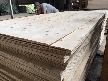 Mặt hàng gỗ Việt Nam có nguy cơ bị "cấm cửa" vào thị trường Mỹ