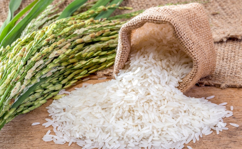 Gạo hữu cơ Quảng Trị có 2 chất đắt gấp 30.000 lần vàng ròng