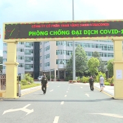 TKV nâng cao cấp độ công tác phòng chống dịch Covid-19