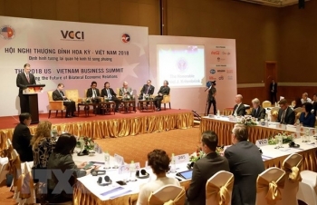 Việt Nam đang có nhu cầu đầu tư về năng lượng, dầu khí