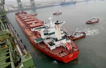 Công ty Hoa tiêu Hàng hải - TKV đảm bảo an toàn 3.033 lượt tàu dẫn