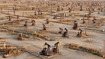 Các gã khổng lồ tài chính quốc tế "nói không" với khai thác dầu khí
