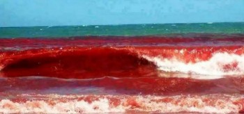 Thủy triều đỏ là gì và ảnh hưởng thế nào tới con người?