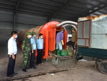 Quảng Ninh: Tiêu hủy 3 tấn chân gà 'bẩn'