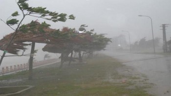 Bão đổ vào Thái Bình - Nam Định, gió giật cấp 10-13