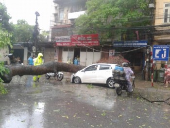 Gió giật mạnh, cây đổ hàng loạt trên đường phố Hà Nội