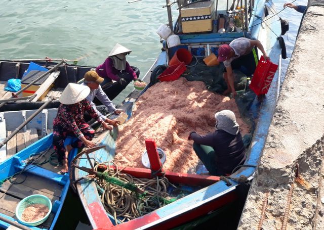 ngu dan binh dinh trung lon loc bien kiem tien trieu chi vai gio