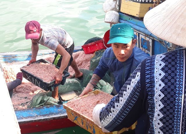 ngu dan binh dinh trung lon loc bien kiem tien trieu chi vai gio