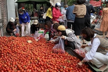 Tháo gỡ khó khăn lưu thông hàng hóa do dịch Covid-19