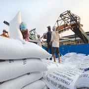 Tin tức kinh tế ngày 24/2: Giá gạo xuất khẩu của Việt Nam bất ngờ tăng mạnh