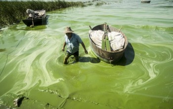 Sửng sốt về mức độ ô nhiễm nguồn nước tại Trung Quốc