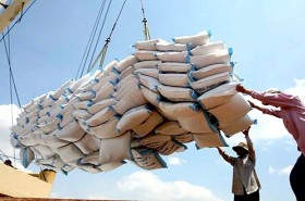 Giá gạo Việt Nam thấp gần nhất thế giới: Do Trung Quốc "ép"