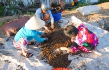 nhung nong san ngoai dat do duoc noi dia hoa