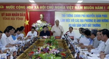 Thủ tướng Nguyễn Xuân Phúc chỉ đạo làm rõ nguyên nhân cá chết